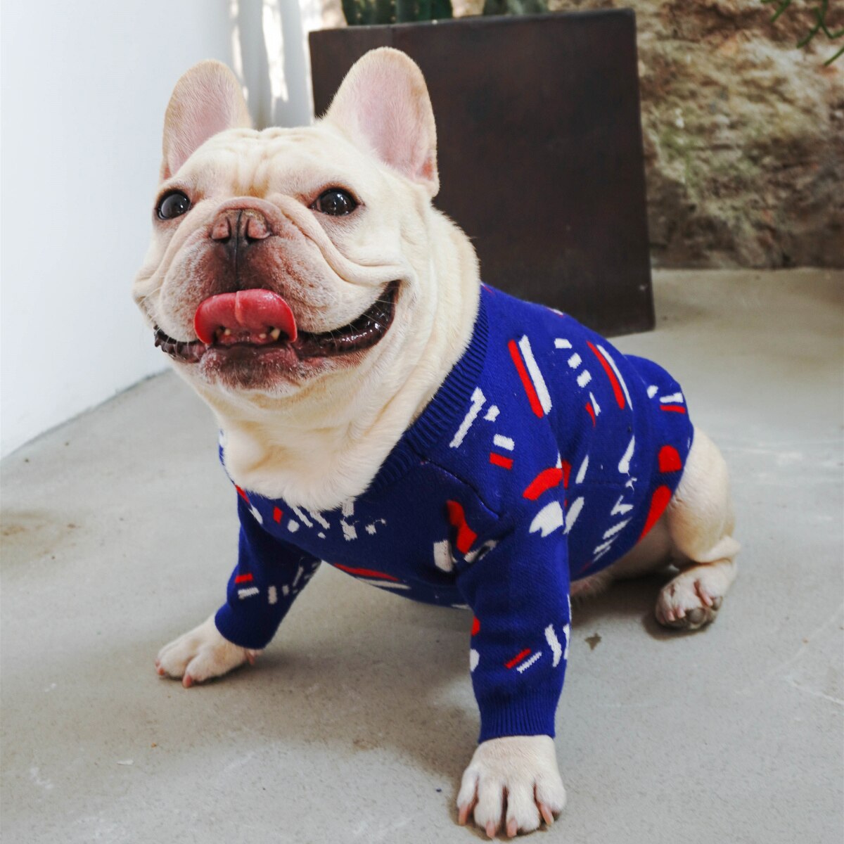 Keep Your Pug Cozy This Season with Our Stylish Pug Pet Sweater